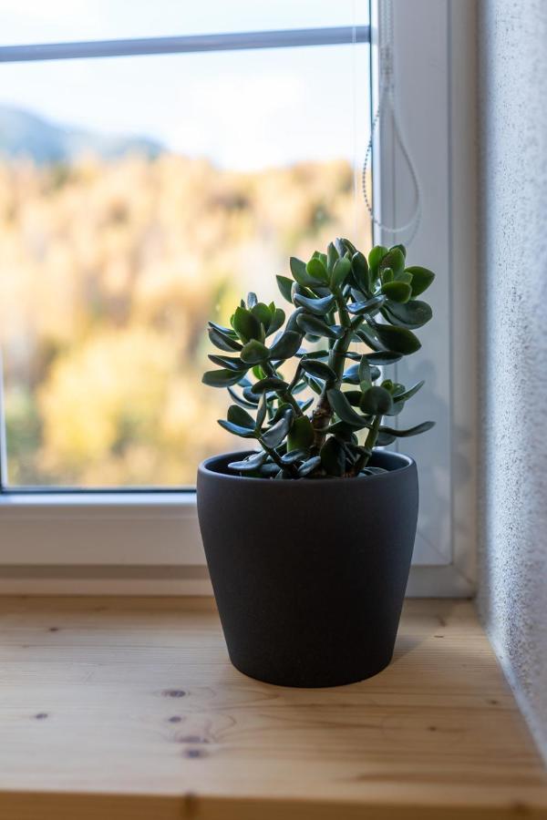 Vila Vlasta Apt. #401 Vysoké Tatry Eksteriør billede