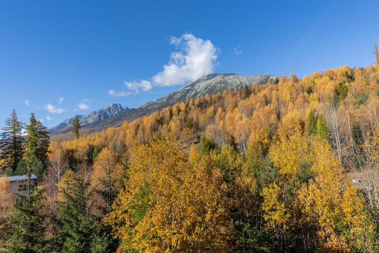 Vila Vlasta Apt. #401 Vysoké Tatry Eksteriør billede